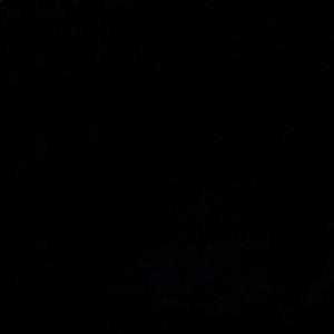 Meet your Posher, Jayden